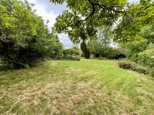 Photo 15- click for photo gallery